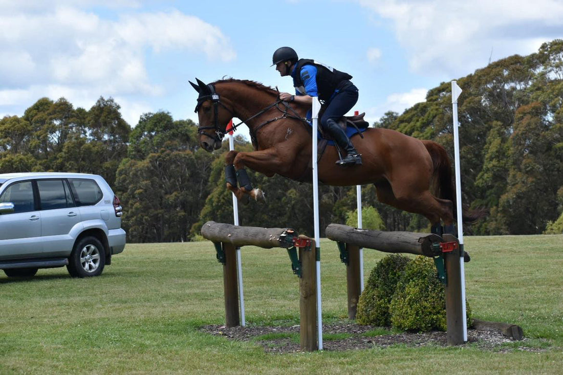 The Different Types of Electrolytes For Horses