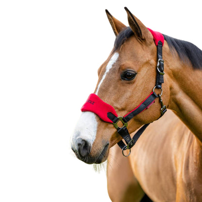 LeMieux Vogue Headcollar & Leadrope