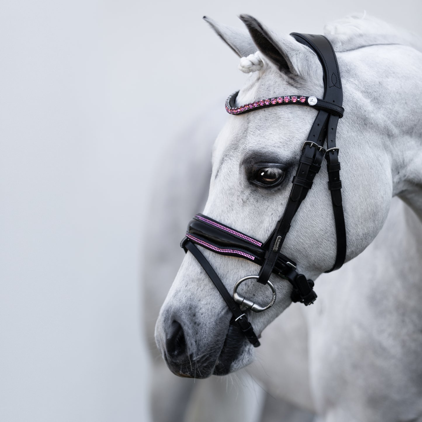 Lumi Pony Fairyfloss Bridle