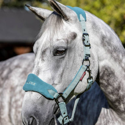 LeMieux Vogue Headcollar & Leadrope