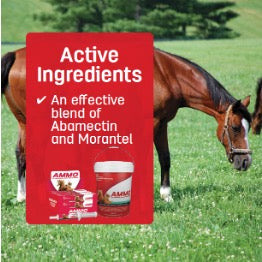 Nature Vet Ammo All Wormer Horse Paste