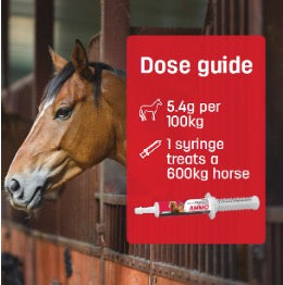 Nature Vet Ammo All Wormer Horse Paste