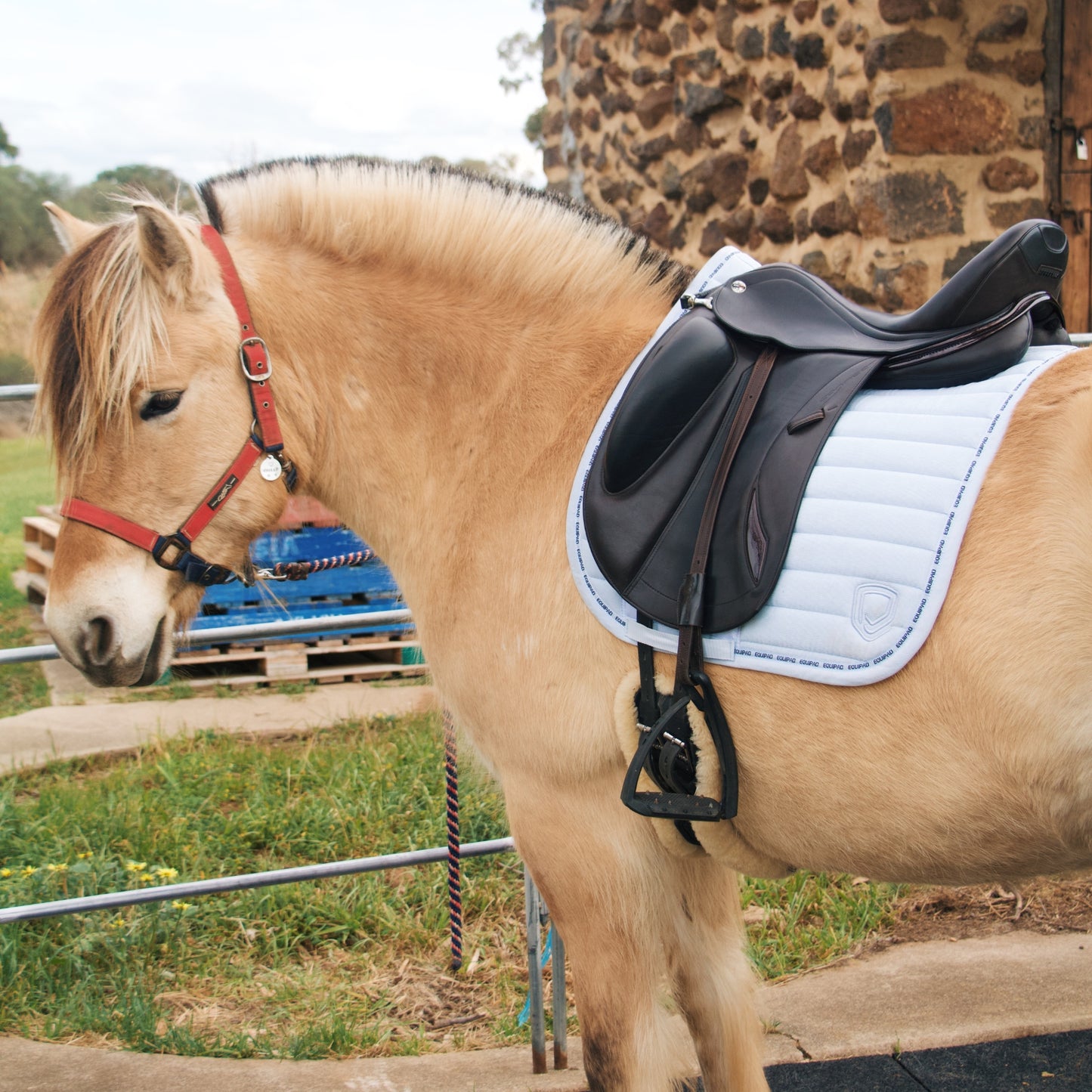 Equipad Corduroy Dressage Saddle Pad