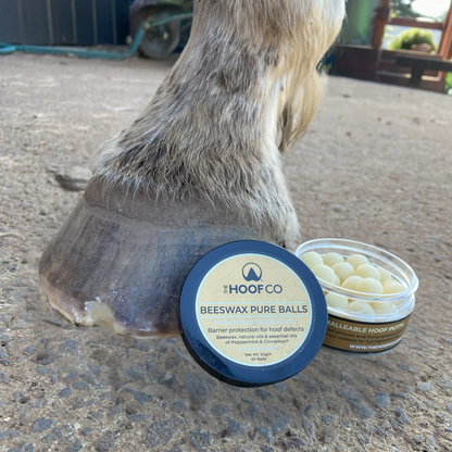 The Hoof Co Beeswax Pure Balls