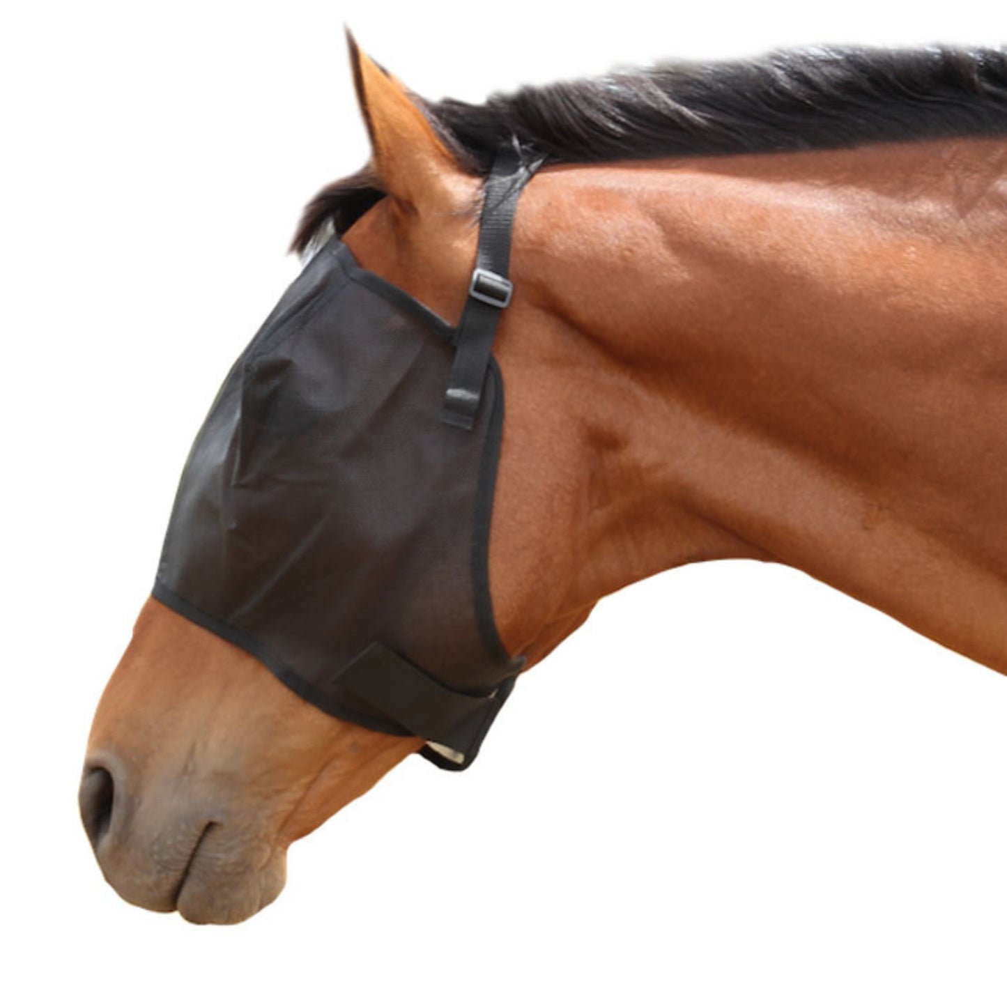 Derby Economy Fly Mask Mesh