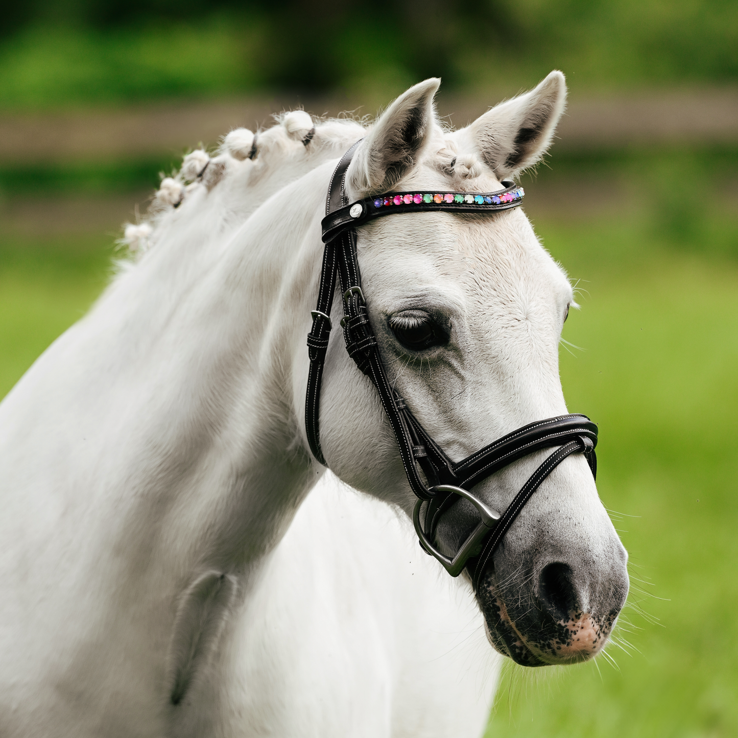 Lumi Pony Rainbow Browband