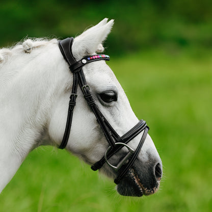 Lumi Pony Rainbow Browband