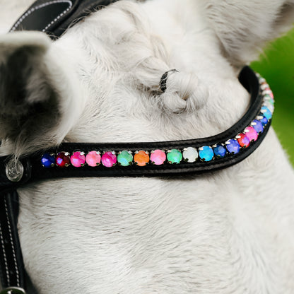 Lumi Pony Rainbow Browband