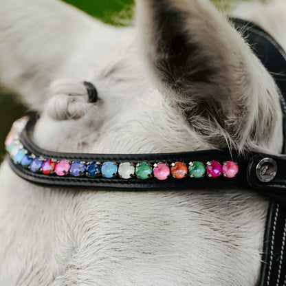 Lumi Pony Rainbow Browband