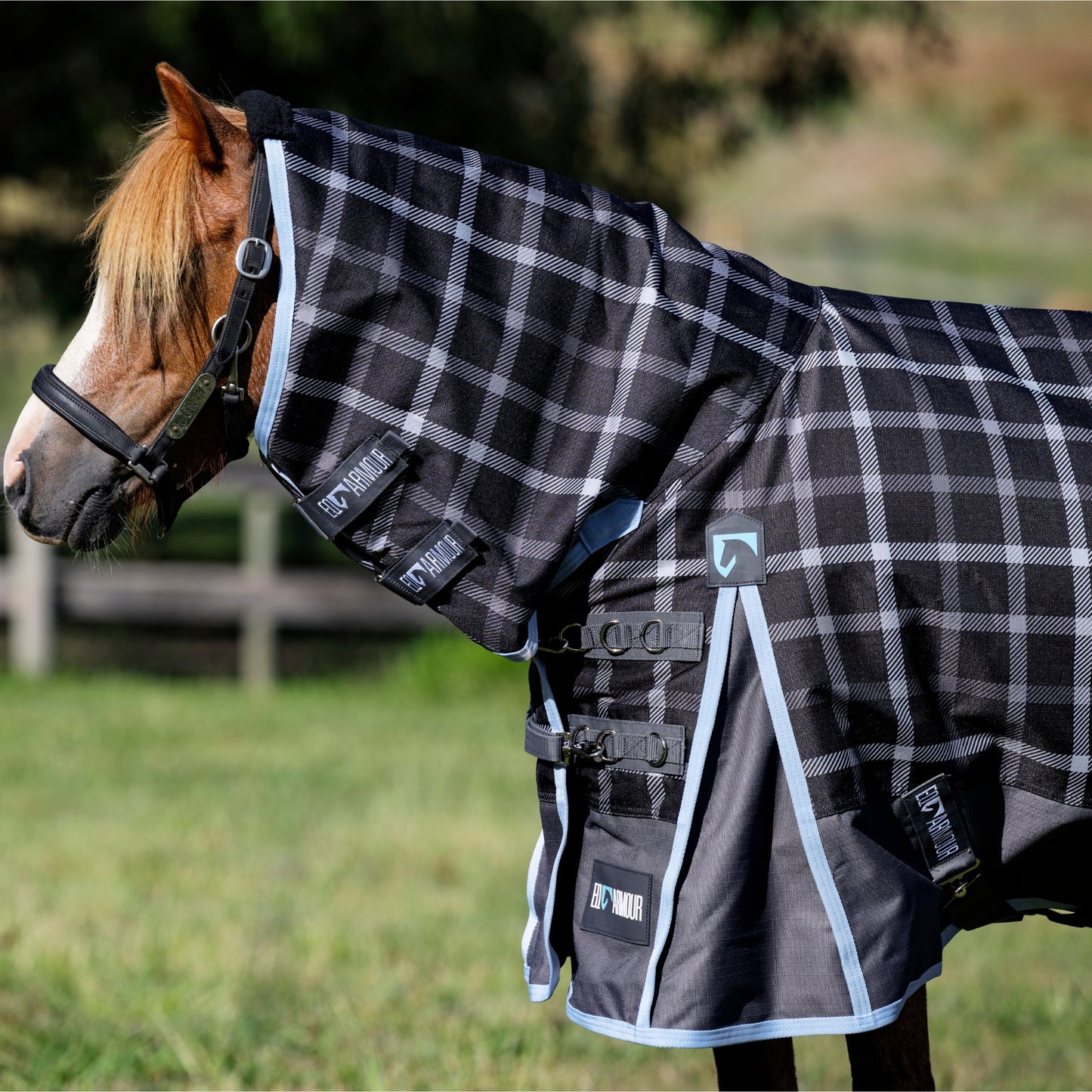 EQ Armour Ascent Plus 1200D 180g Combo Pony