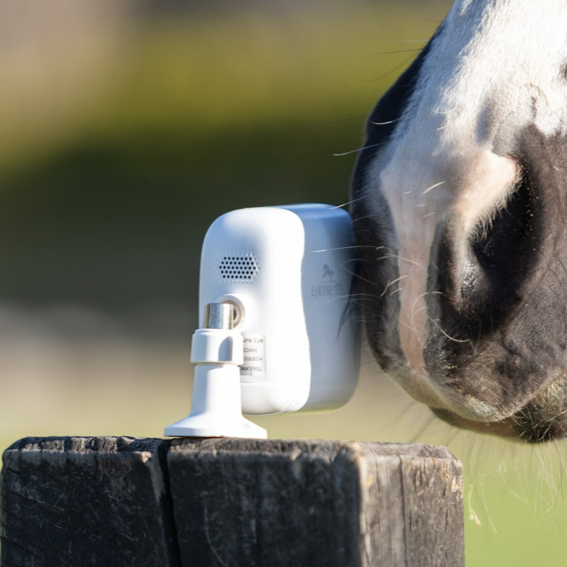 Equine Eye Vision Camera