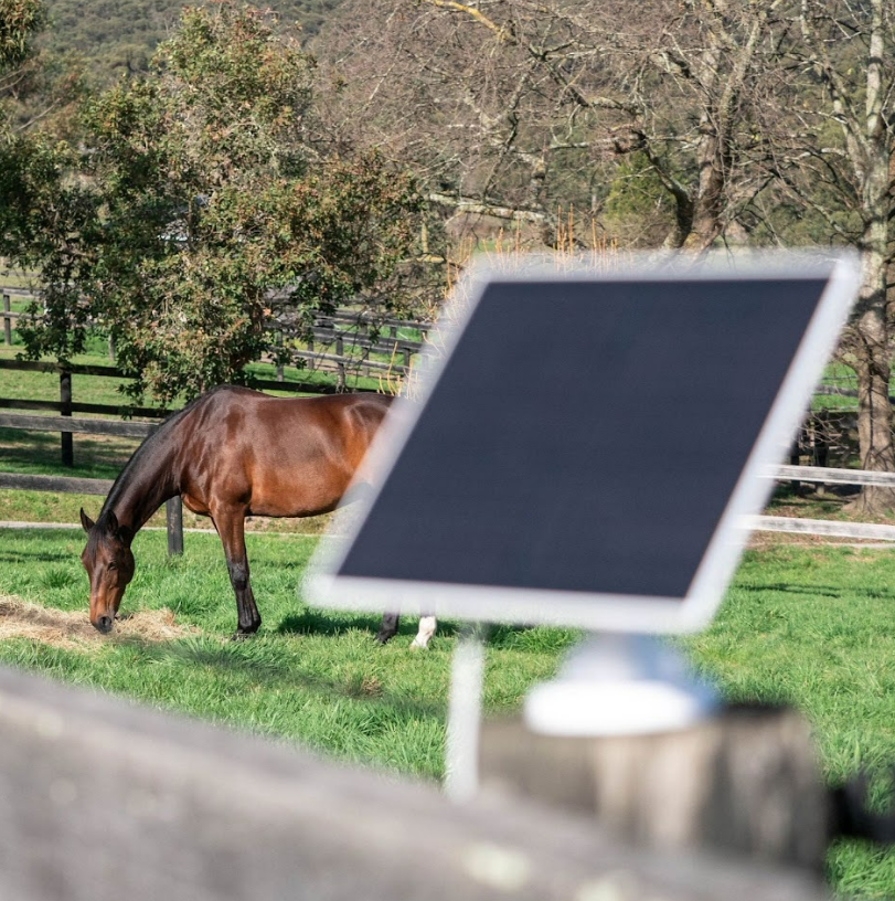 Equine Eye Vision Solar Panel