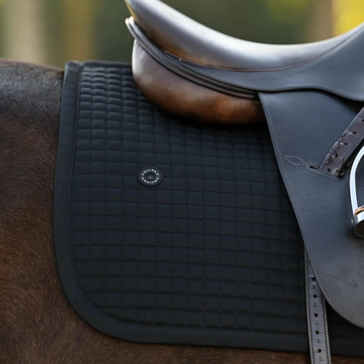 Equipad Equestrian Recycled Jump Saddle Pad