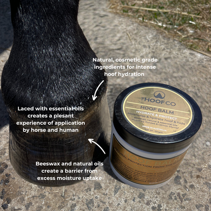 The Hoof Co Hoof Balm