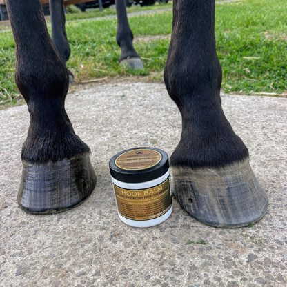 The Hoof Co Hoof Balm