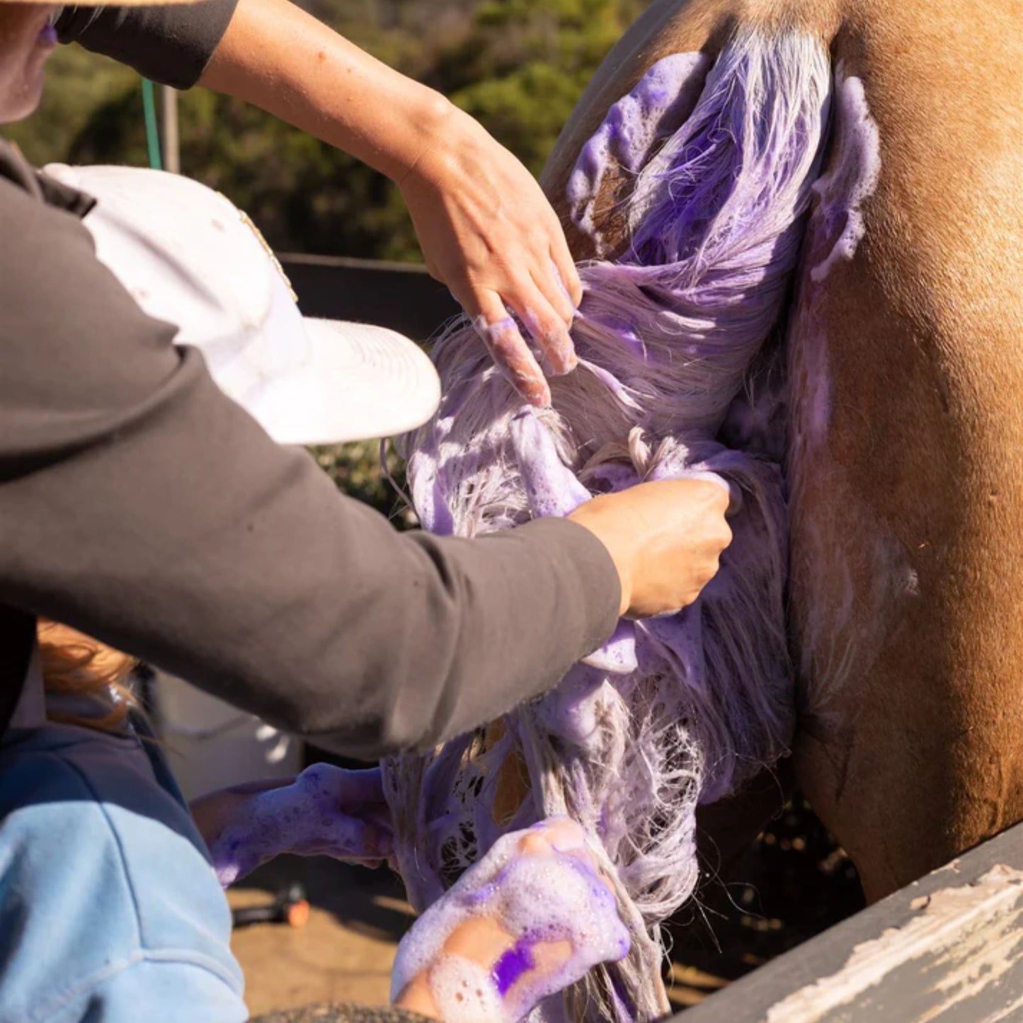 Hairy Pony Double Strength Purple Shampoo