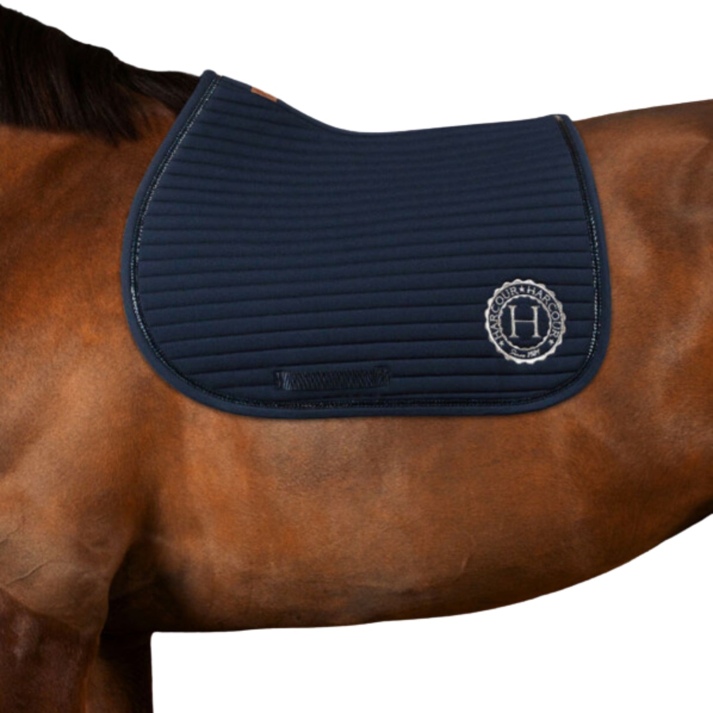 Harcour Karembar Jump Saddle Pad