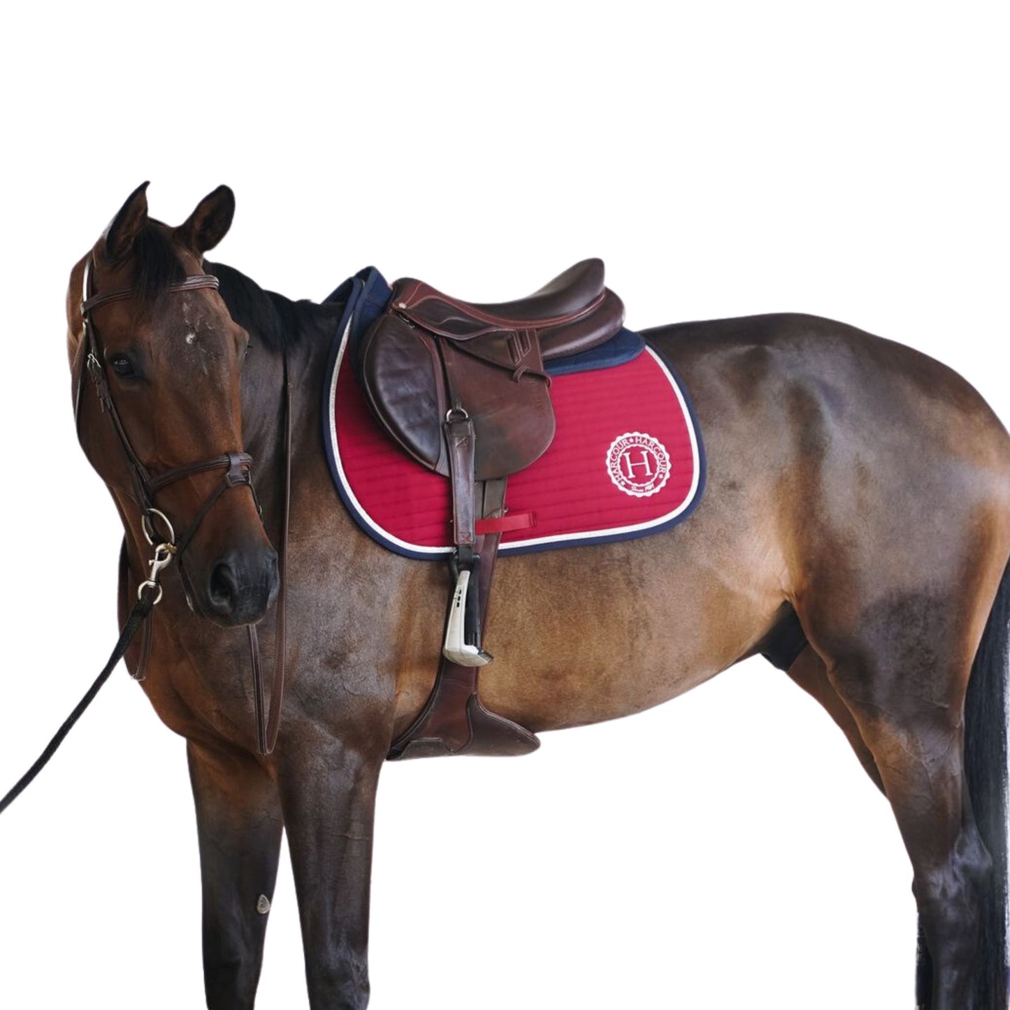 Harcour Karembar All Purpose Saddle pad