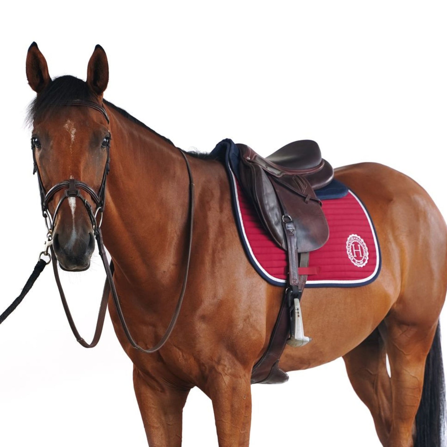 Harcour Karembar All Purpose Saddle pad