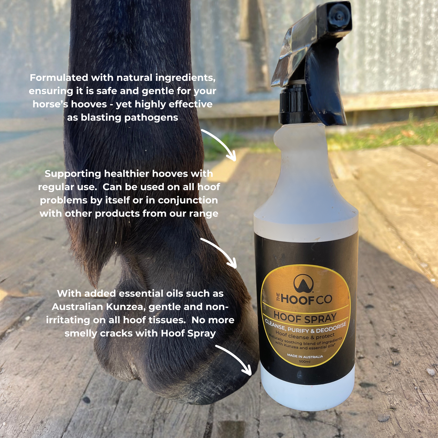 The Hoof Co Hoof Spray