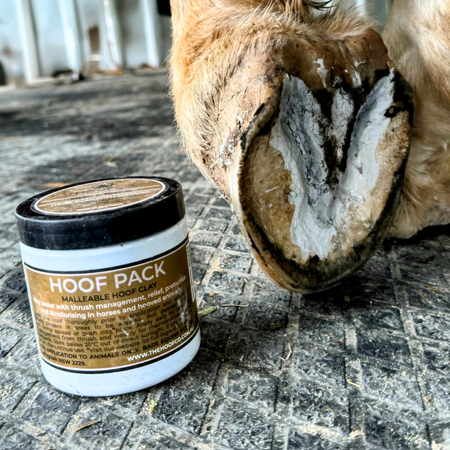 The Hoof Co Hoof Pack