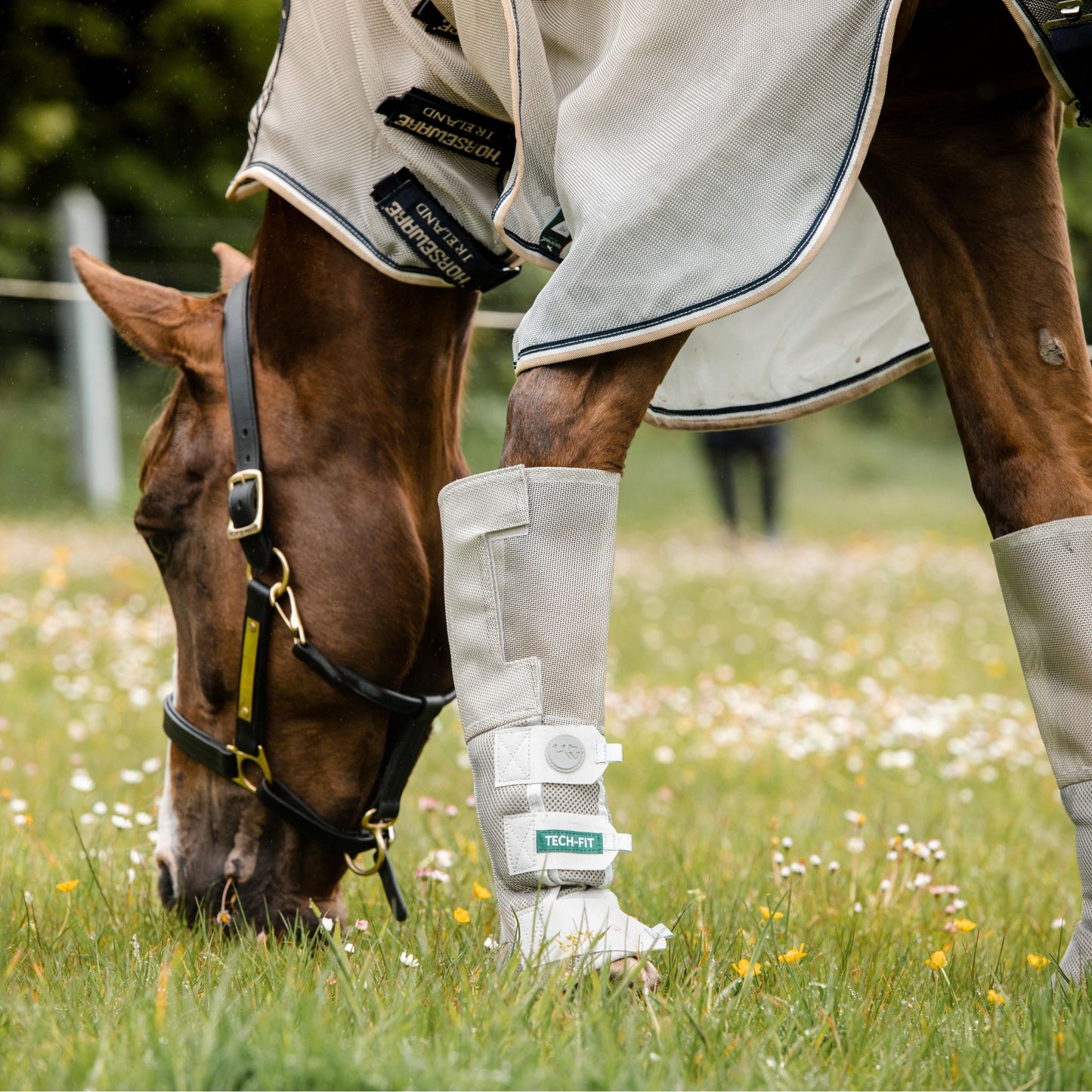 Horsewear Rambo Tech-Fit Fly Boots