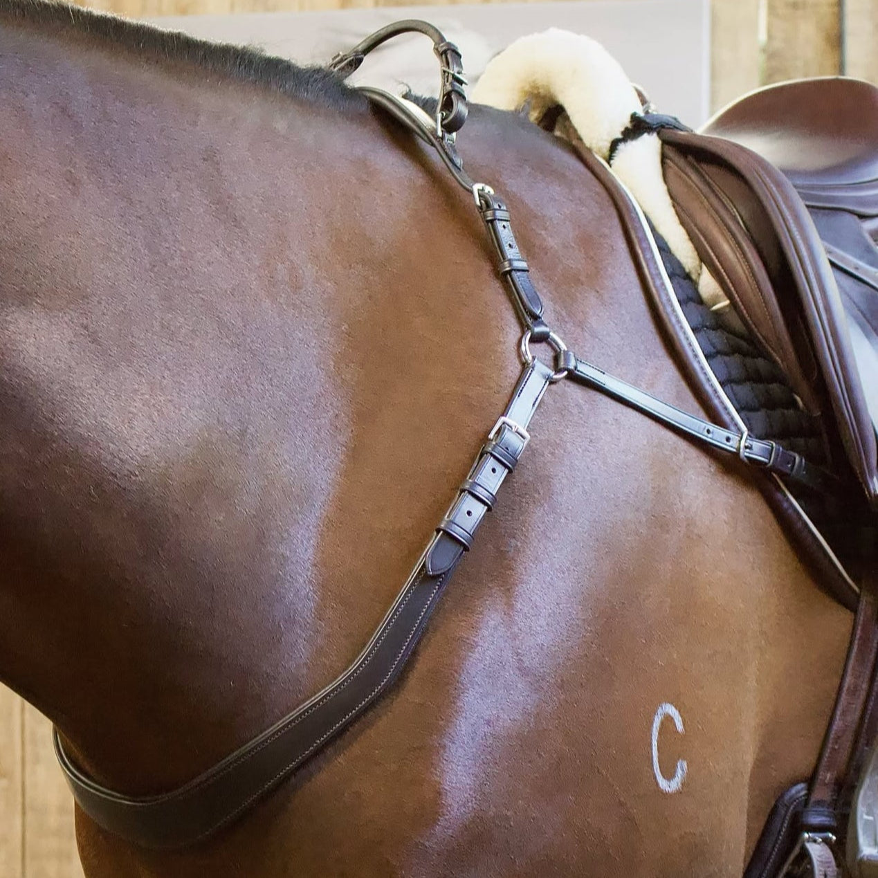 Saddle Co Balance Breastplate