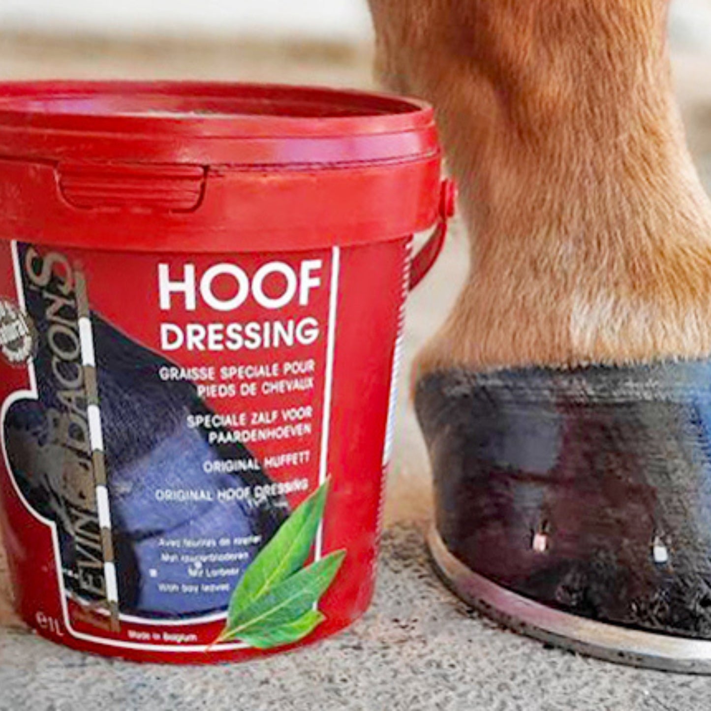 Kevin Bacons Hoof Dressing Original