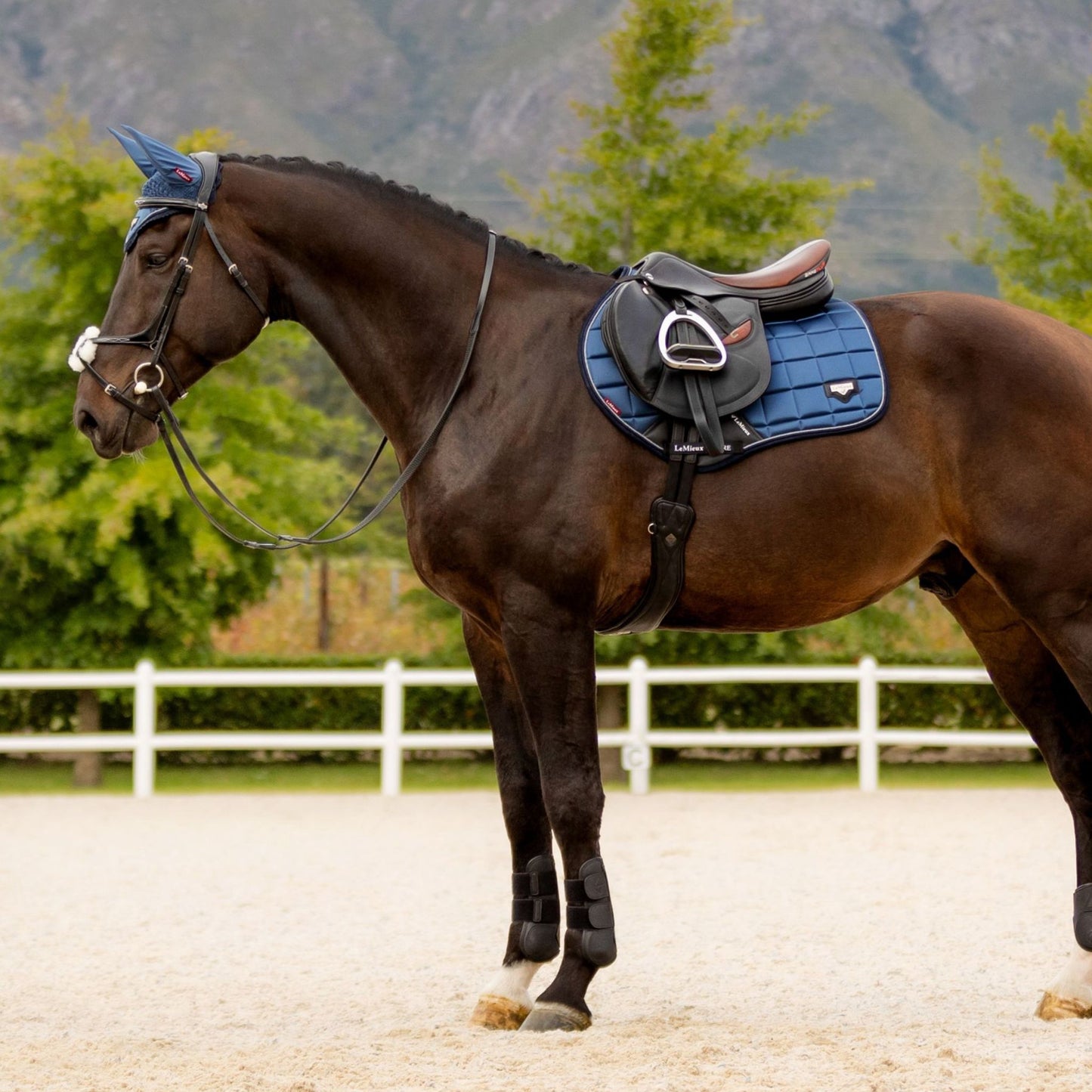 LeMieux Loire Classic Square Close Contact Saddle Pad