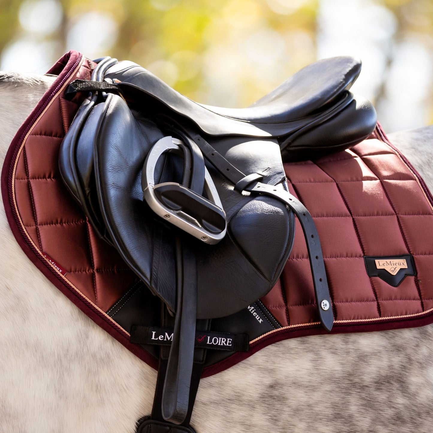 LeMieux Loire Classic Square Close Contact Saddle Pad