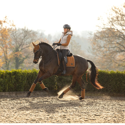 LeMieux Loire Classic Dressage Square