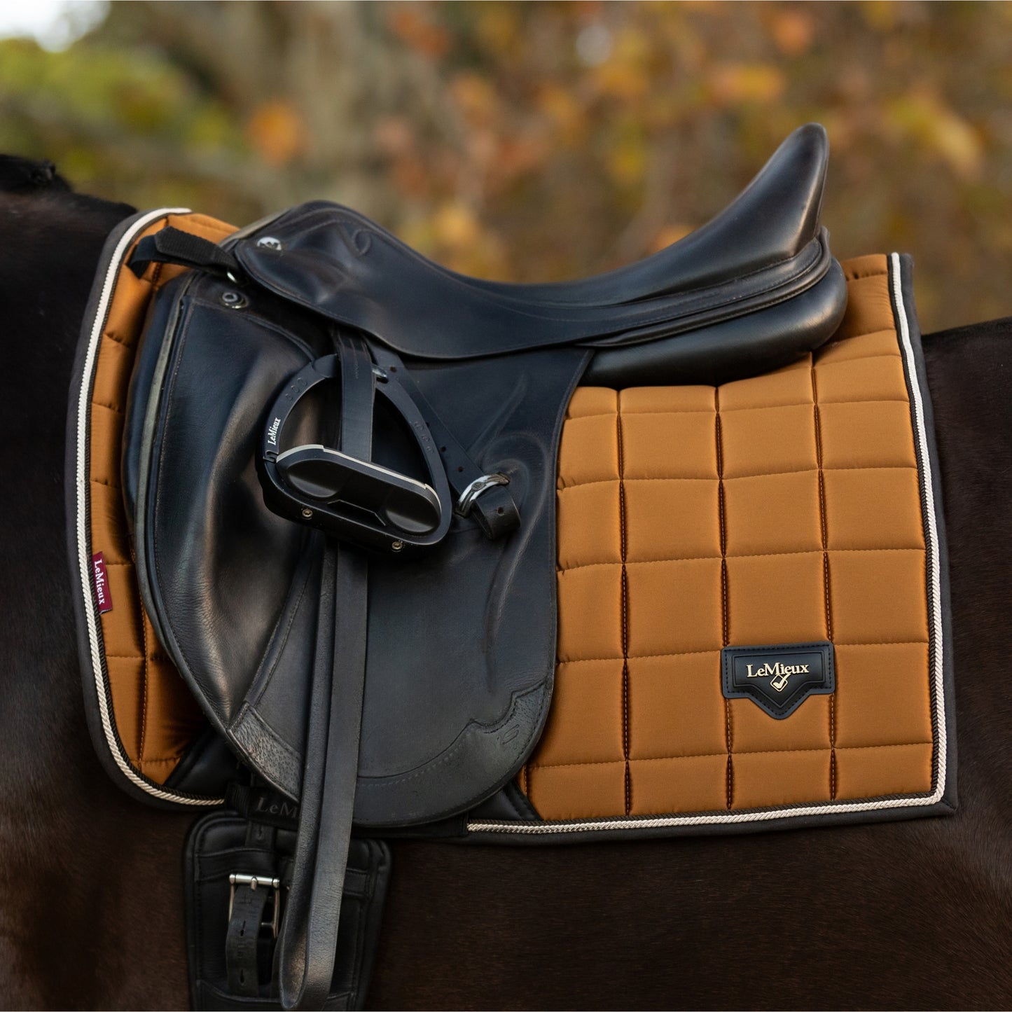 LeMieux Loire Classic Dressage Square