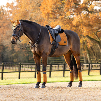 LeMieux Loire Classic Dressage Square