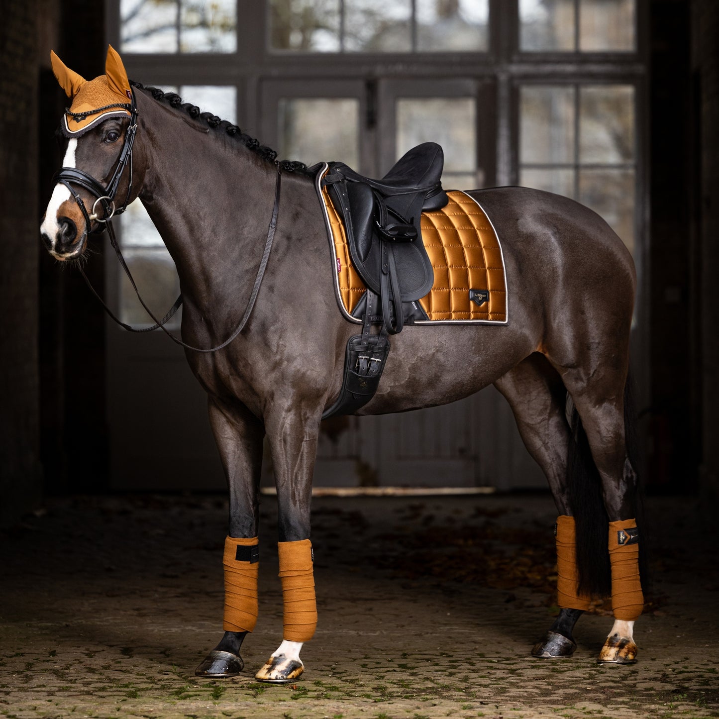 LeMieux Loire Classic Dressage Square