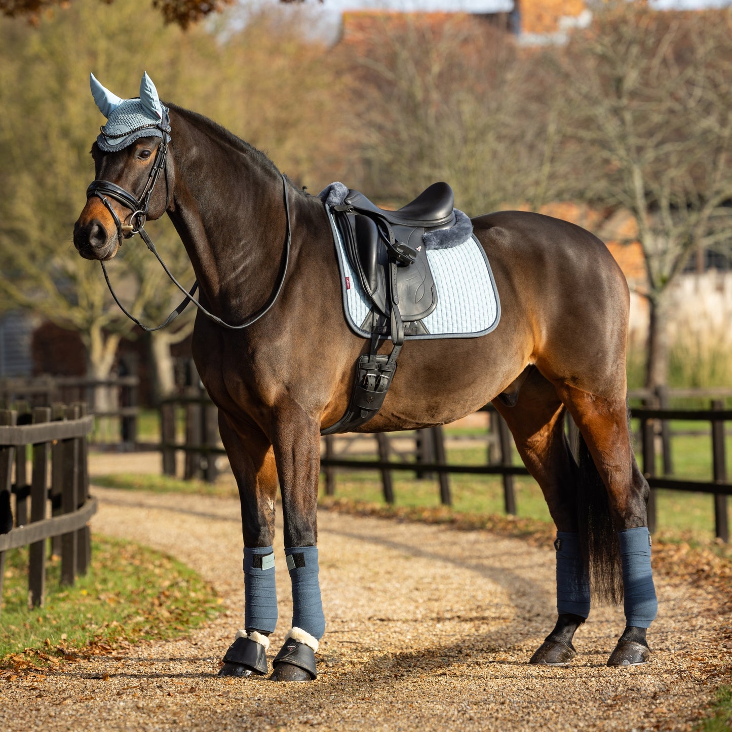 LeMieux Suede Dressage Square