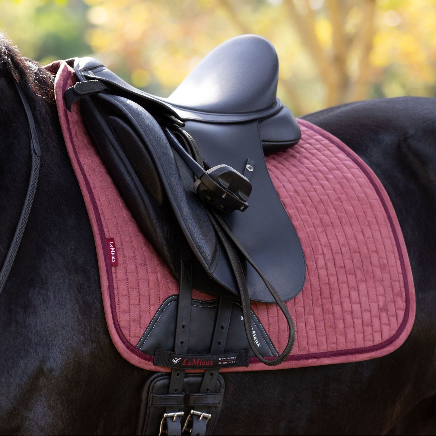 LeMieux Suede Square Dressage Saddle Pad