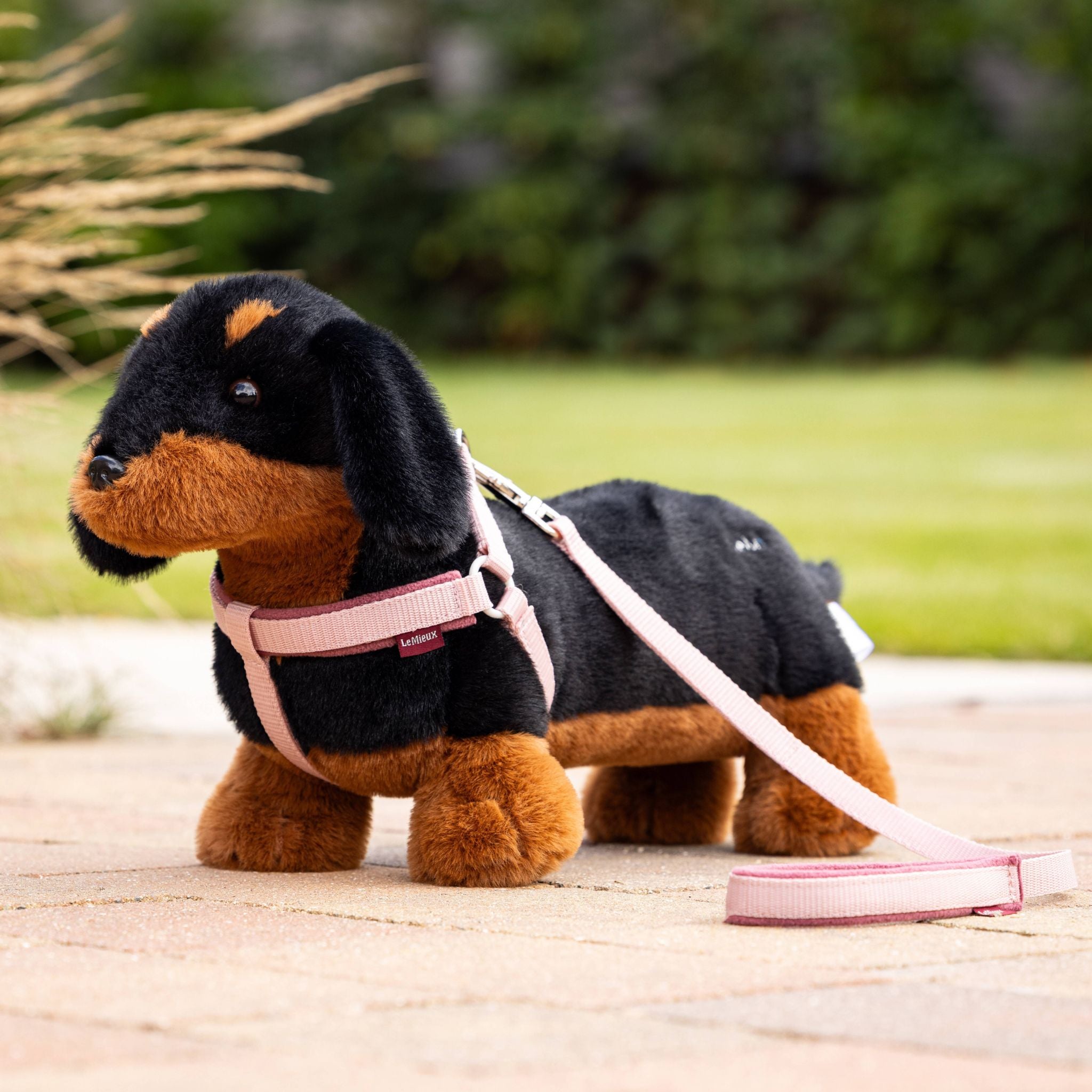 LeMieux Toy Dog Harness – EQ Saddlery