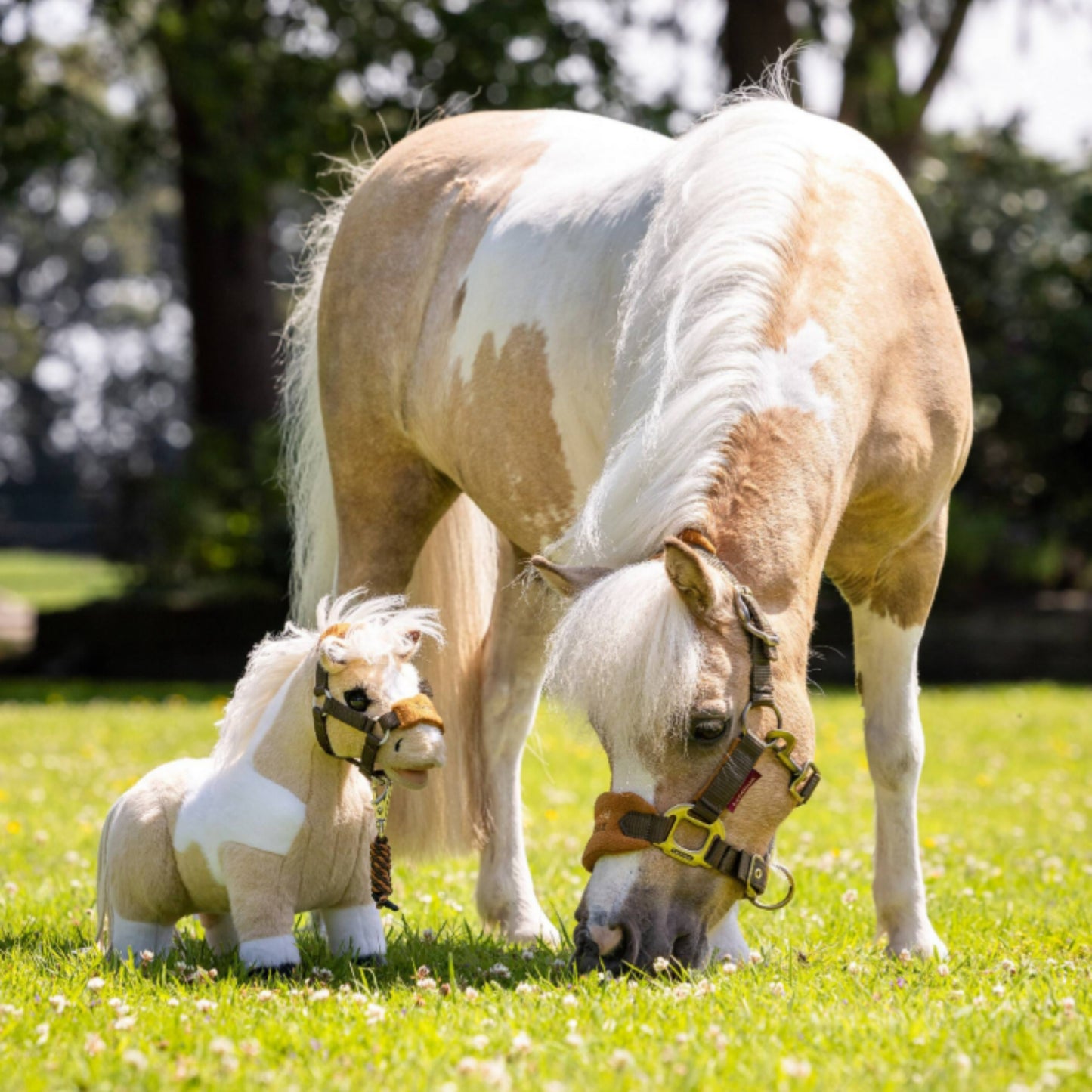 LeMieux Toy Pony