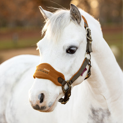 LeMieux Vogue Headcollar