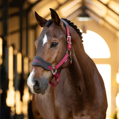 LeMieux Vogue Headcollar