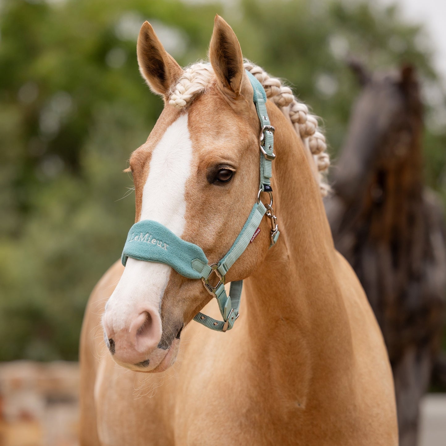 LeMieux Vogue Headcollar & Leadrope