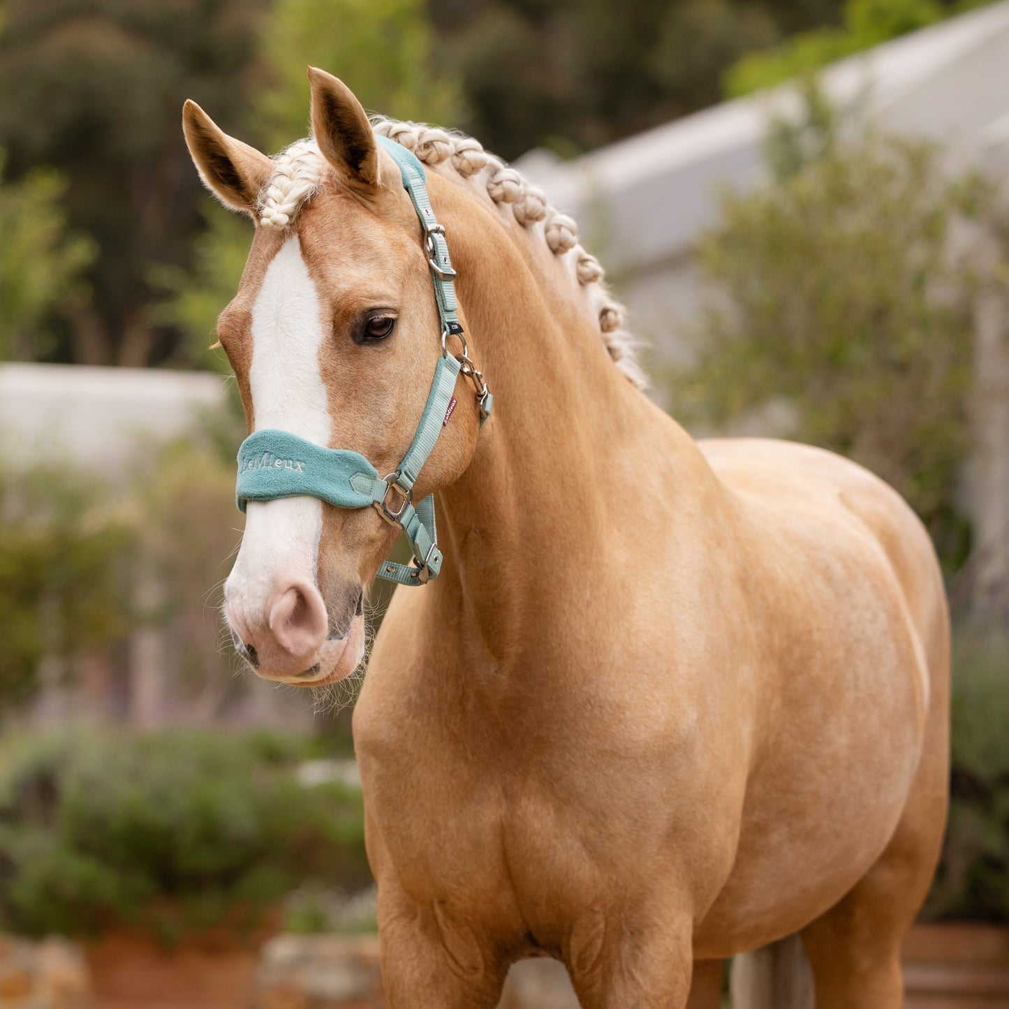 LeMieux Vogue Headcollar & Leadrope