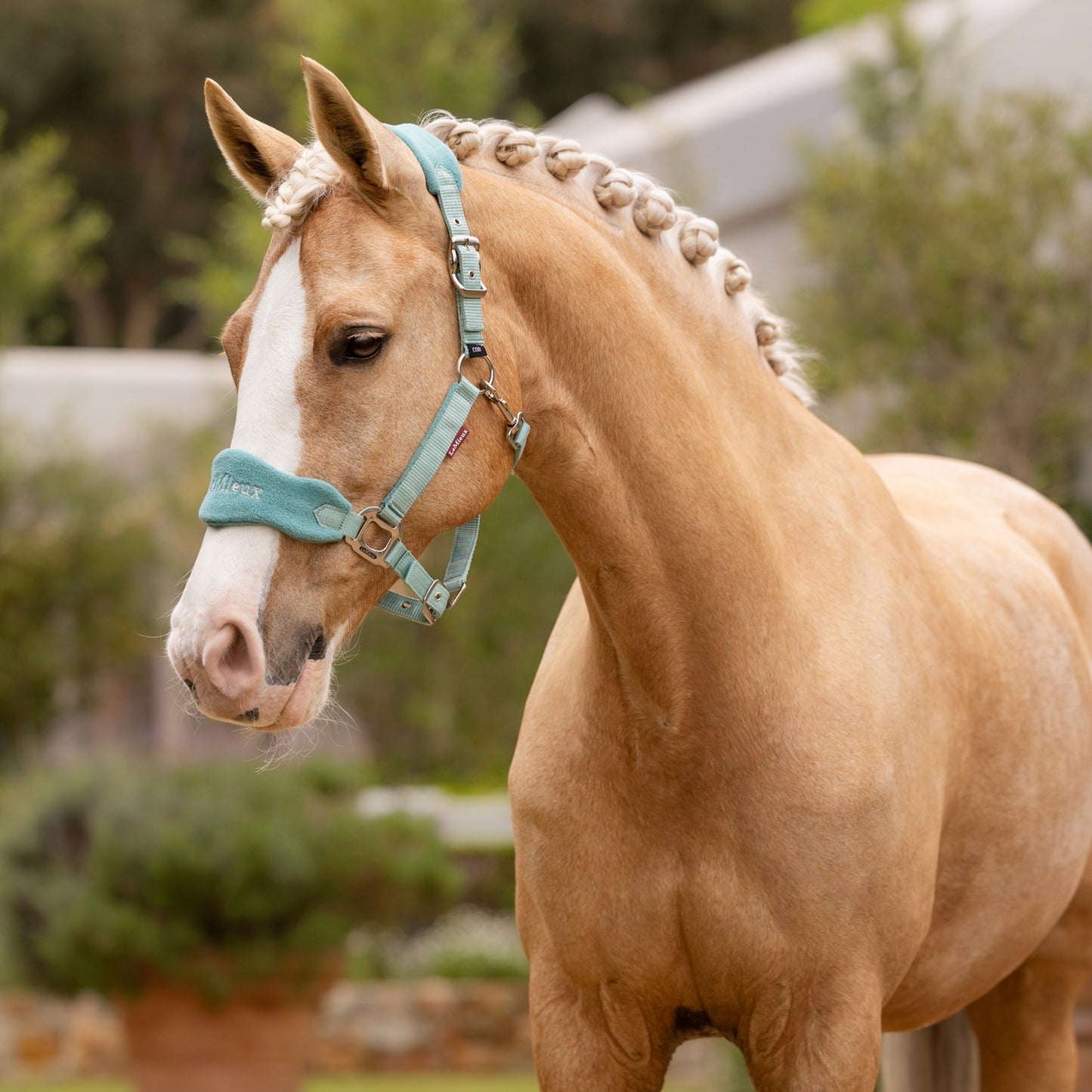 LeMieux Vogue Headcollar & Leadrope