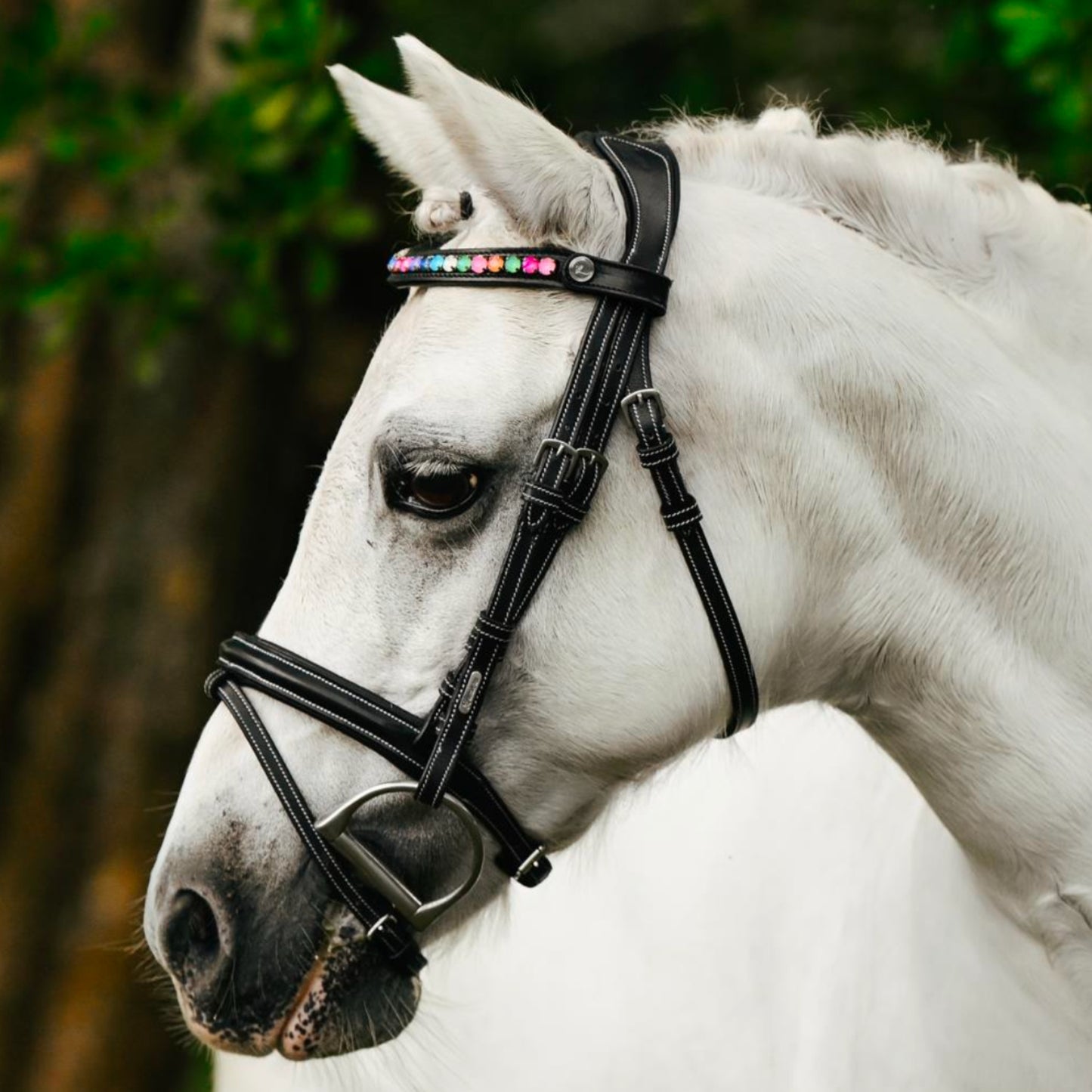 Lumi Pony Rainbow Browband