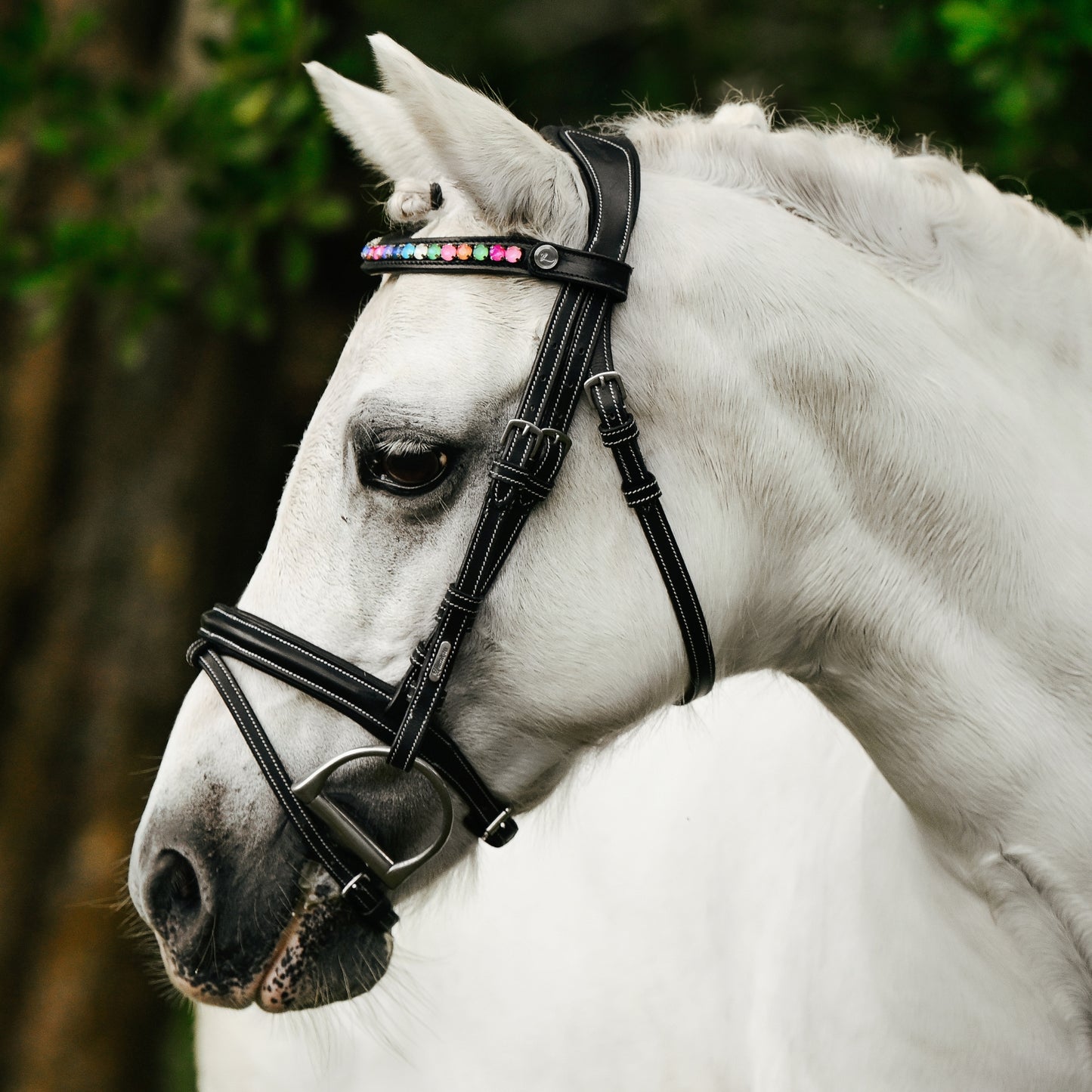 Lumi Pony Rainbow Browband