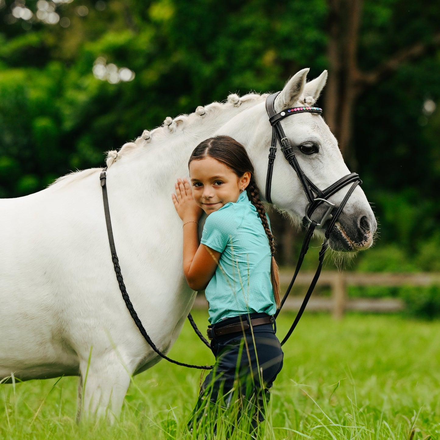 Lumi Pony Rainbow Browband