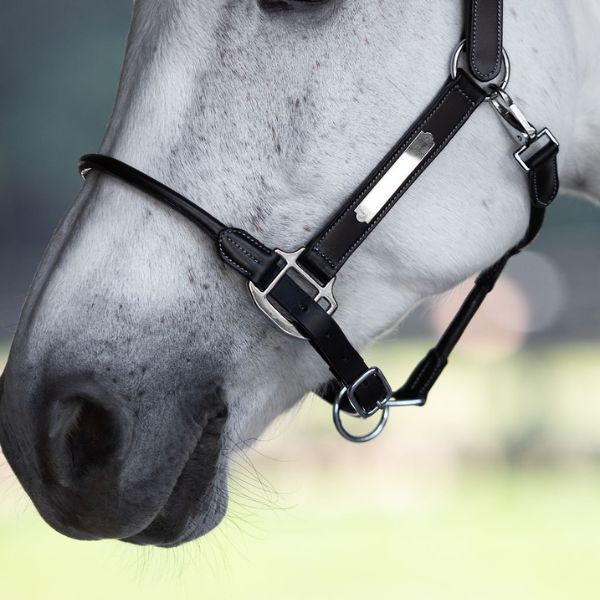 Lumiere Aero Leather Halter