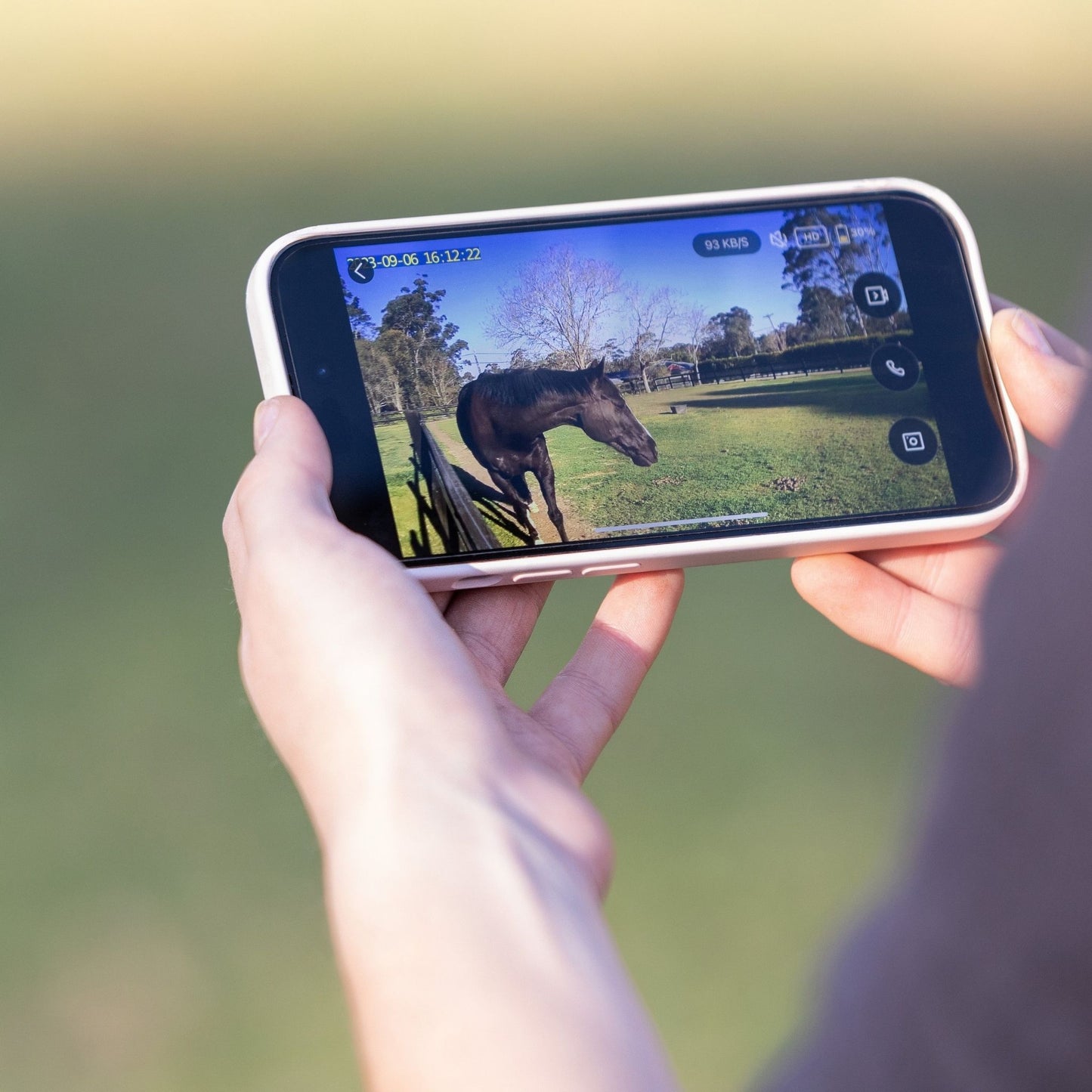 Equine Eye Vision Camera