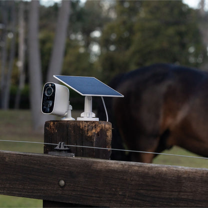 Equine Eye Vision Solar Panel