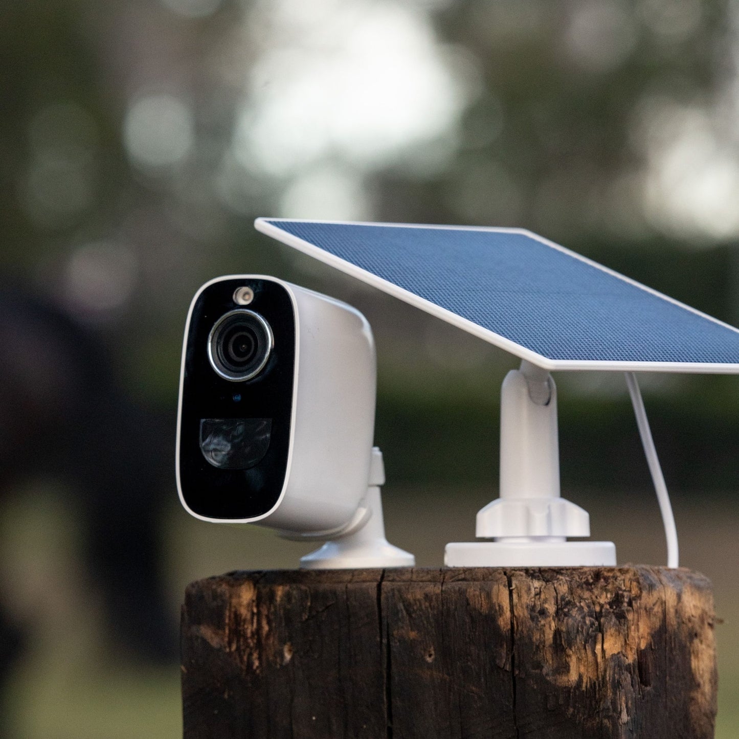 Equine Eye Vision Solar Panel